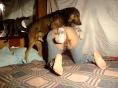 Gorgeous, dark-haired An American pervert is publicly enjoying her dog.